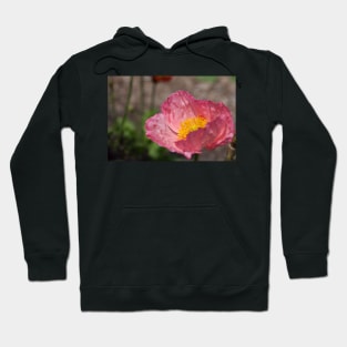 Pink Poppy Hoodie